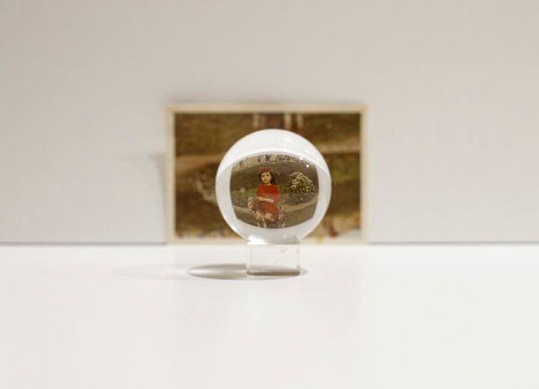 Serie La Osadía de las Luciernagas